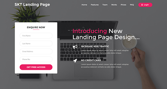 landing page WordPress theme